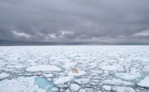 Arctique : record absolu de chaleur dans le Svalbard norvégien