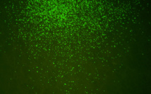 Des scientifiques redonnent vie à des microbes ancestraux