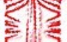 L'association Horo'a propose une Journée récréative au Rainbow Park spéciale Halloween et un Stage vacances