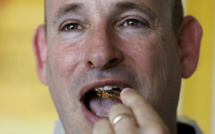 Envie de protéines? Mettez des sauterelles dans votre assiette