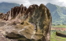 L'île Sacrée se pare de vert