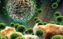 Les nanotechnologies au service d'une clinique aux promesses spectaculaires