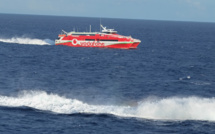 Collision entre une baleine et le Terevau