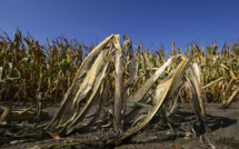 Climat: la sécheresse extrême de 2018-2019 en Europe appelée à se répéter