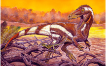 Un premier diagnostic de cancer chez un dinosaure