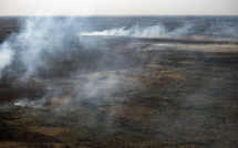 Argentine: le delta du Parana en proie à des incendies sans précédent