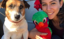 Des fonds pour un nouveau chien