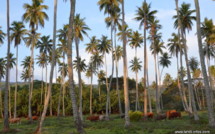 Budget 2013 de l’outremer : les crédits d’Etat en baisse pour la Polynésie