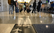 A l'aéroport de Francfort, une chienne des douanes renifle un quart de million d'euros