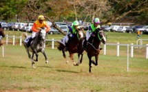 Hippisme : le grand prix du 11 novembre clôture la saison
