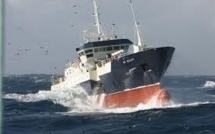 La pêche dans les mers Australes, un modèle de gestion du poisson, très lucratif