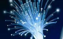 Déploiement du très haut débit: le gouvernement met en place une mission