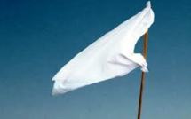 Papara : dame blanche ou drapeau ?