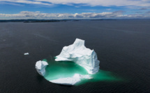 Les épidémies, autre spectre du réchauffement climatique