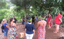 Immersion culturelle sur l'île sœur