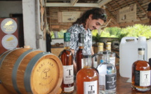 Les distilleries de rhum polynésien créent leur syndicat