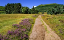 L'Auvergne, eldorado des touristes à l'heure du coronavirus