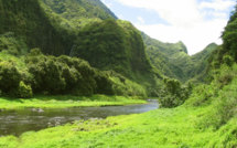 Papenoo : ivre et sans permis, il cause un carambolage et s'enfuit