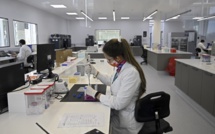 L'OMS espère en finir avec la pandémie "en moins de deux ans"