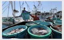Lutte contre la pêche illicite : Bruxelles met en garde Fidji et Vanuatu