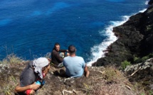 Les oiseaux de retour grâce à MANU