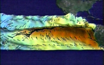 Les températures resteront élevées en 2020 malgré la venue probable de La Niña