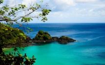 Fernando de Noronha, l'île paradisiaque réservée au Covid-19