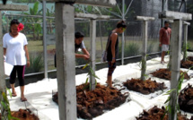 Un lycée agricole aux Marquises