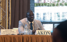 Sénégal: le rappeur Akon pose la première pierre d'une ville digne du Wakanda