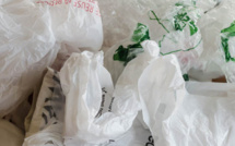 Interdiction de certains sacs en plastique dès aujourd'hui