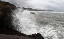 Les garde-côtes japonais à la recherche d'un cargo