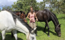 L'équicoaching, pour être bien dans ses sabots