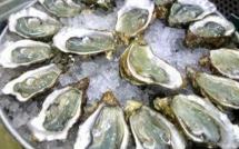 Le congrès mondial de l'huître se penche sur leur inquiétante mortalité