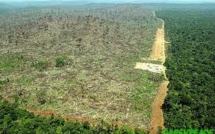 La déforestation au Brésil atteint son plus bas niveau historique