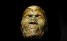 Retour de Californie pour des têtes Maori