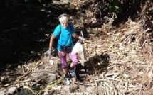 Des "Bourdons" écolos nettoient Moorea