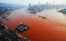 Une algue rougit la mer sur les côtes d'Australie