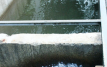 Atelier sur les Plans de Sécurité Sanitaire des Eaux dans le Pacifique Sud