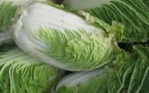 Les Chinois veulent planter des choux sur Mars