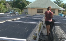 L'aquaponie intéresse la Direction de l'agriculture
