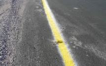 Piéton mortellement fauché: le fuyard de Taravao s'est livré