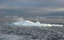 La banquise d'été de l'Arctique au deuxième plus bas niveau jamais observé