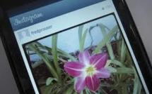 Google va concurrencer l'application photo Instagram de Facebook