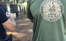 ​Dix interpellations à Faa'a et Papeete pour trafic d'ice