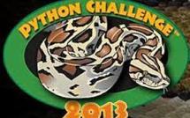 USA: la Floride lance le "Challenge Python", concours de capture de serpents
