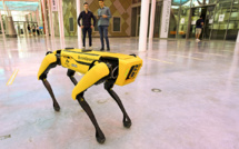 Nancy: un robot-chien pour remplacer l'homme dans les endroits dangereux
