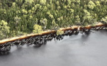 Sinistre besogne pour les sauveteurs des "dauphins-pilotes" en Tasmanie