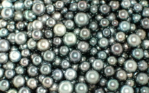 Maison de la Perle : la convention avec Cavalieri est-elle légale ?