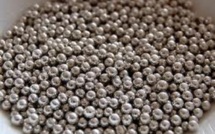 Tahiti Pearl Consortium: Le collectif " touche pas à ma perle " obtient gain de cause devant le tribunal administratif