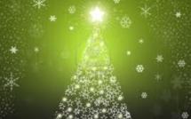 Du sapin aux emballages cadeau, des conseils pour un Noël (un peu) plus vert